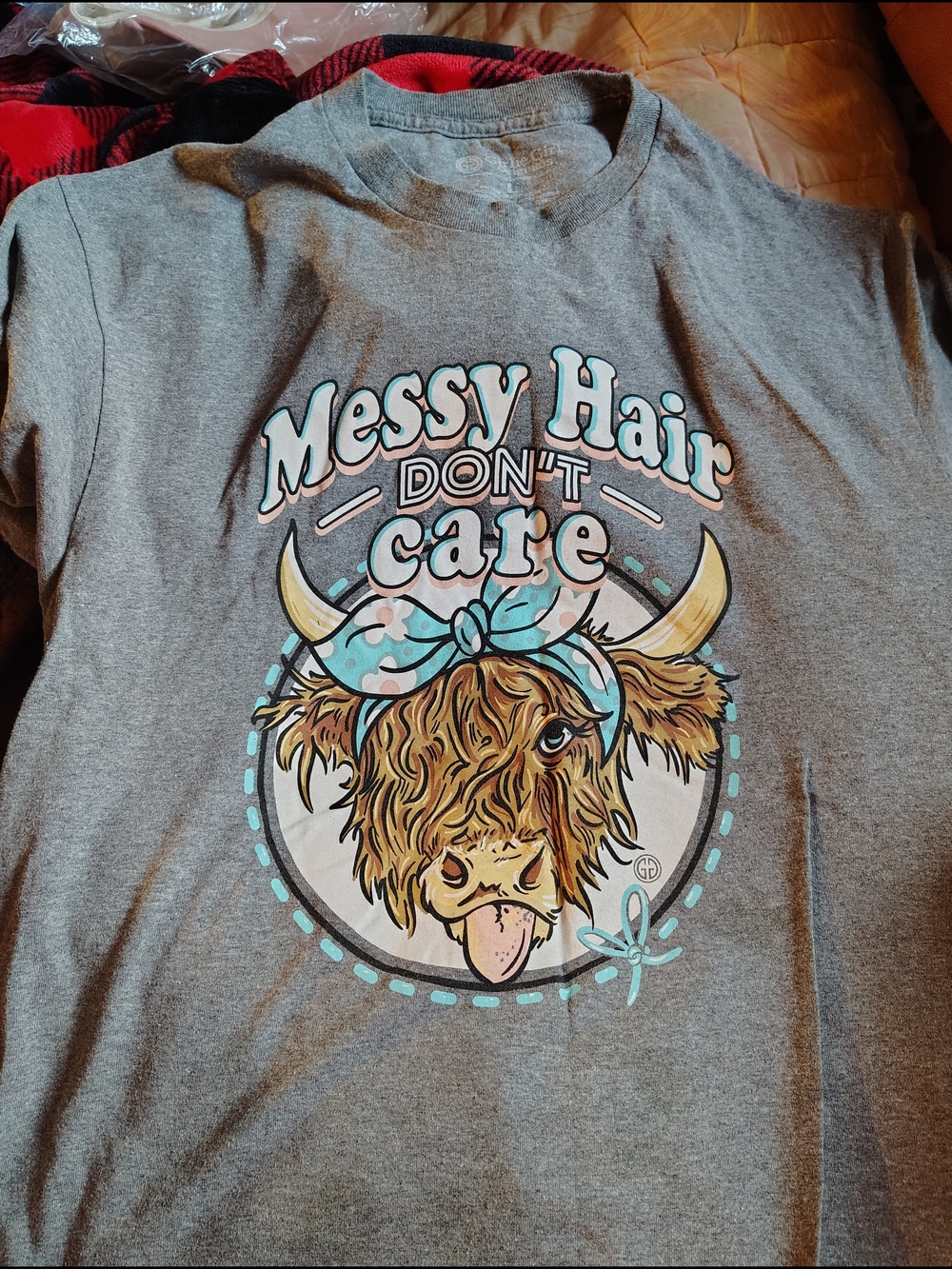Messy Hair Don't Care Women's Graphic Tee - Gray with Teal Accent